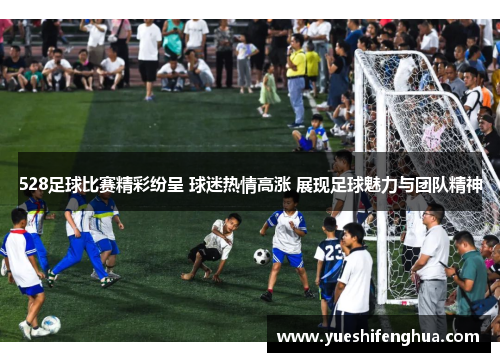 528足球比赛精彩纷呈 球迷热情高涨 展现足球魅力与团队精神